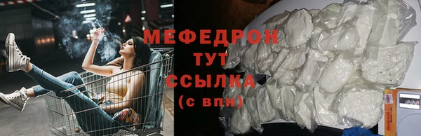 хмурый Аркадак