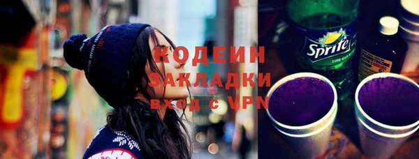 хмурый Аркадак