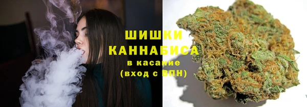 хмурый Аркадак