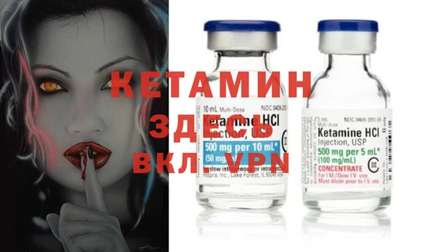 хмурый Аркадак
