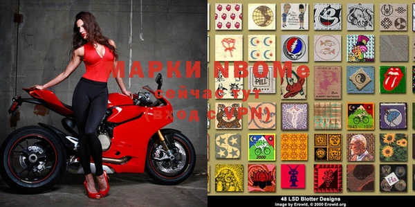 прущая мука Арсеньев