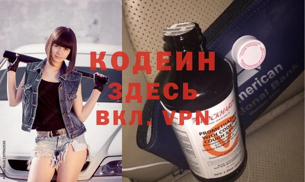 хмурый Аркадак
