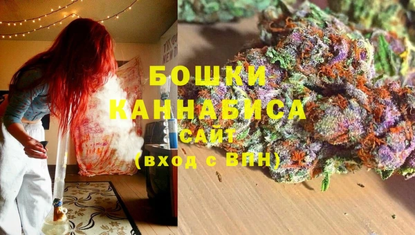 хмурый Аркадак