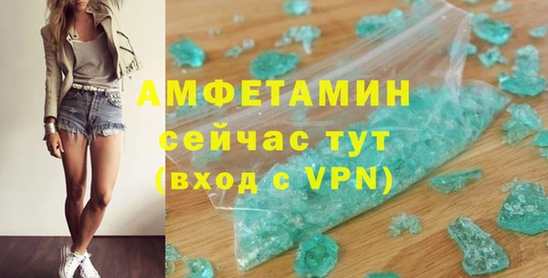 хмурый Аркадак