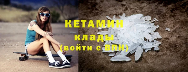 хмурый Аркадак