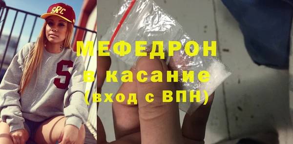 хмурый Аркадак