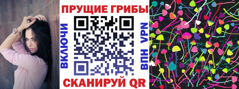 Купить  Малгобек  Галлюциногенные грибы Psilocybine cubensis 